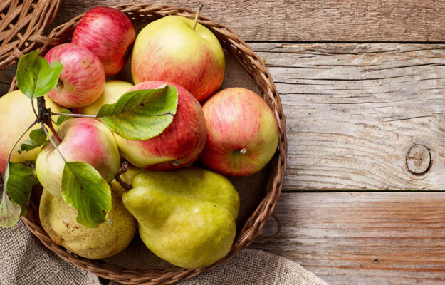 Äpfel und Birnen sind ein Teil für saisonale Küche im November