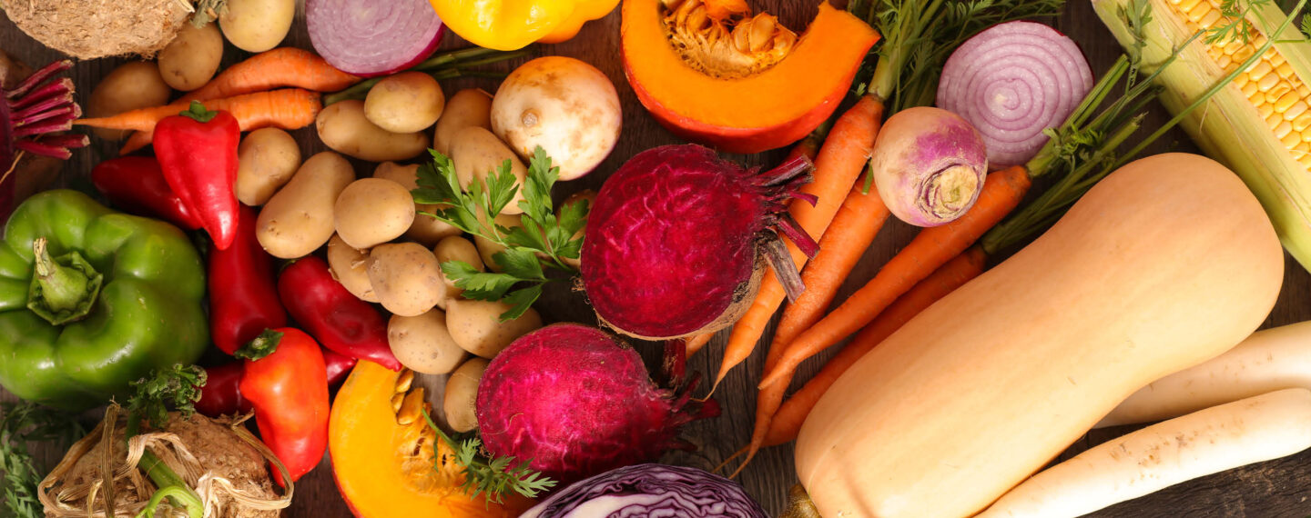 Buntes Arrangement von Gemüse für Saisonale Küche im November.