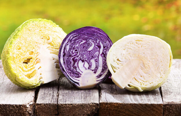 Rotkohl und Wirsing auf einem Holztisch – Saisonale Küche
